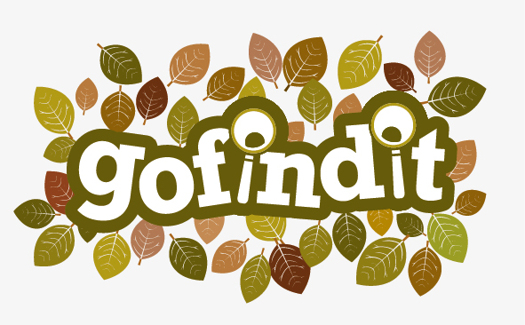 gofindit logo