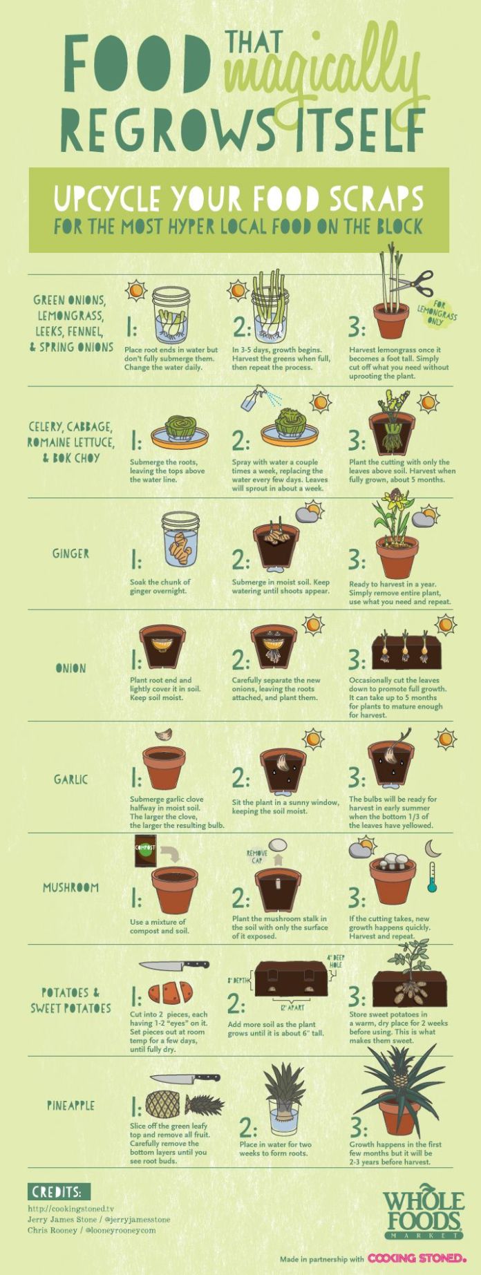 guide to upcycling food scraps
